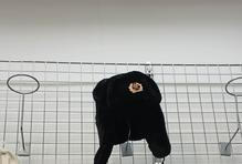 Čepice, srp a kladivo, prodej