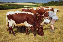 Na Farmářské škole je teorie jen asi 30 procent. Zbylých 70 procent chodí studenti po farmách.