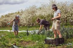 Jiří Prachař v roce 2023 spoluzaložil unikátní Farmářskou školu, jedinou vyšší odbornou školu v Česku zaměřenou na ekologické zemědělství, ve které dnes působí jako ředitel.