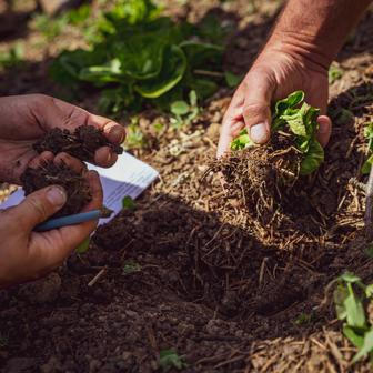Na zemědělských školách v Česku podle Prachaře obecně chybí praxe.
