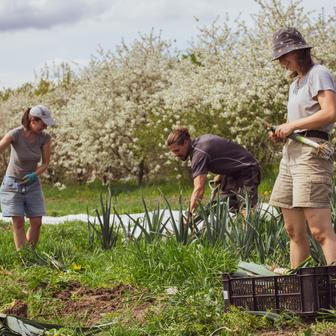 Jiří Prachař v roce 2023 spoluzaložil unikátní Farmářskou školu, jedinou vyšší odbornou školu v Česku zaměřenou na ekologické zemědělství, ve které dnes působí jako ředitel.