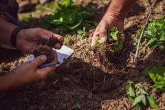 Na zemědělských školách v Česku podle Prachaře obecně chybí praxe.