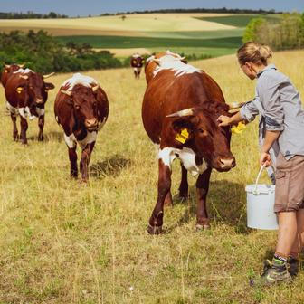 "Naše odlišnost je, že děláme ekologické zemědělství, což tady nikdo jiný takhle nedělá. Kromě univerzit, kde je to čistě teoretický předmět."