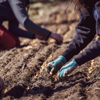 Studenti taky mají příležitost jet na rok do zahraničí, třeba do Německa, Rakouska nebo Španělska.