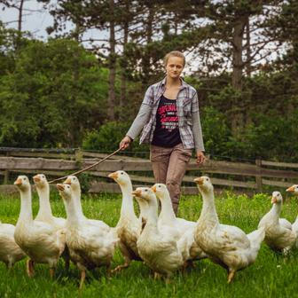 Za ten jeden rok studenti poznají 10 až 15 ekofarem v České republice a třeba 5 až 6 zahraničí. 