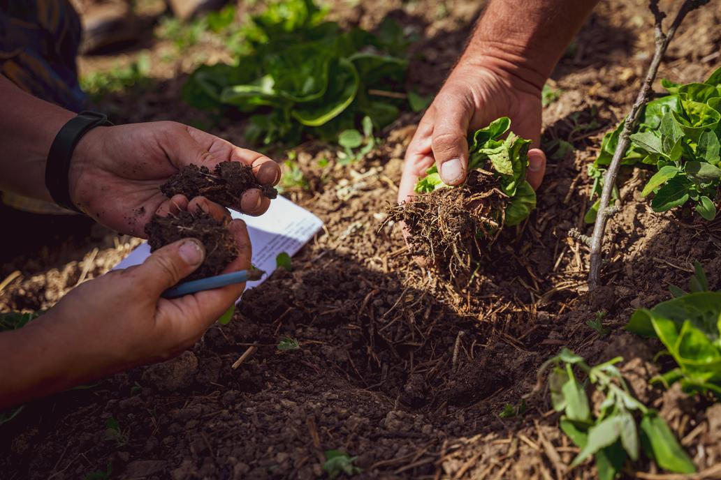 Na zemědělských školách v Česku podle Prachaře obecně chybí praxe.