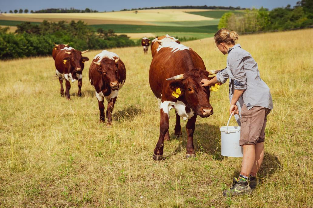 "Naše odlišnost je, že děláme ekologické zemědělství, což tady nikdo jiný takhle nedělá. Kromě univerzit, kde je to čistě teoretický předmět."