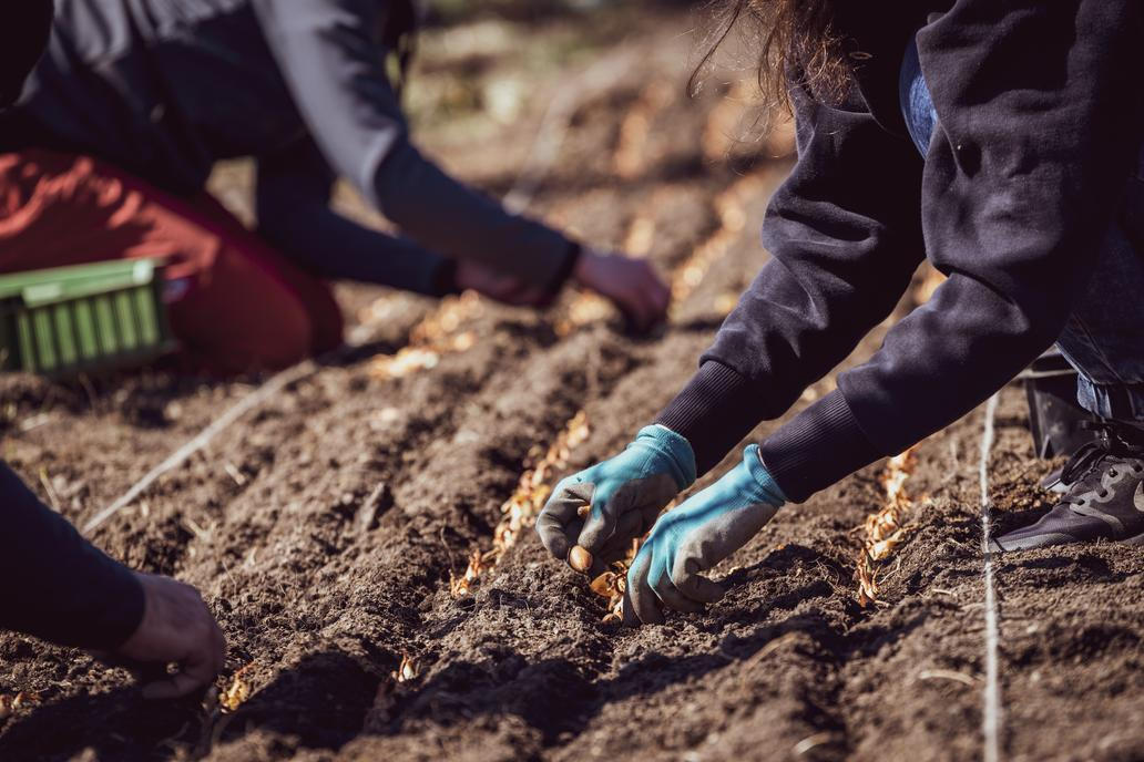 Studenti taky mají příležitost jet na rok do zahraničí, třeba do Německa, Rakouska nebo Španělska.