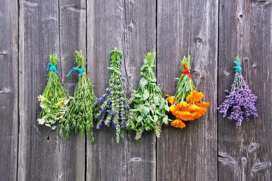 Pokud pijete nálev z bylin, můžete si dát občas klidně pár piv, tvrdí naturopatka