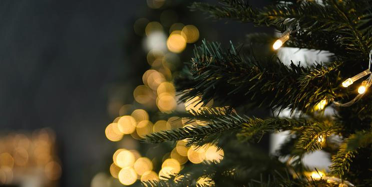 Když stromeček postavíte na špatné místo, může narušit domácí pohodu, přidat napětí do vztahů a vytvořit pocit neklidu. Kde by stromek rozhodně stát neměl, a který kout domova je naopak považovaný za nejpříznivější?