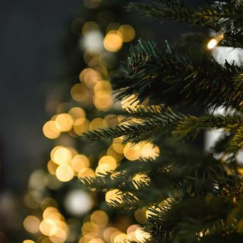 Když stromeček postavíte na špatné místo, může narušit domácí pohodu, přidat napětí do vztahů a vytvořit pocit neklidu. Kde by stromek rozhodně stát neměl, a který kout domova je naopak považovaný za nejpříznivější?