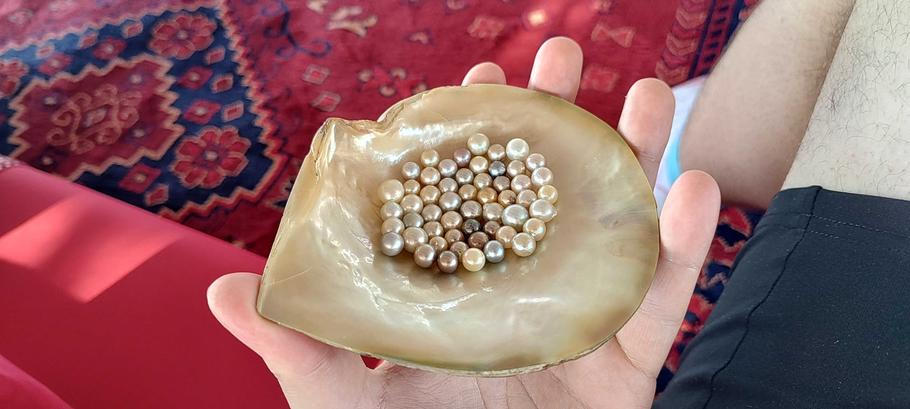 Perlová farma Suwaidi. Tady se vyrábějí perly.