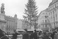 Brno se 13. prosince 1924 dočkalo zázraku. Na náměstí Svobody se rozzářil první „Vánoční strom republiky“.
Ilustrační snímek