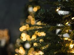 Když stromeček postavíte na špatné místo, může narušit domácí pohodu, přidat napětí do vztahů a vytvořit pocit neklidu. Kde by stromek rozhodně stát neměl, a který kout domova je naopak považovaný za nejpříznivější?