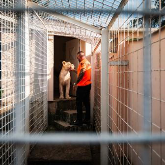 Bojovník Karlos se mimo jiné proslavil svou zálibou v exotických zvířatech.