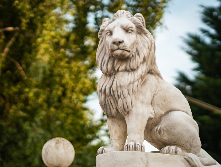 Jedna razie proběhla přímo ve Vémolově domě, další dvě pak v Praze.