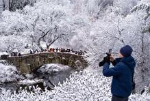 Já sním o Vánocích bílých