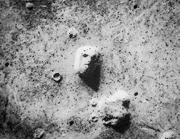 Tvář na Marsu (70. léta)