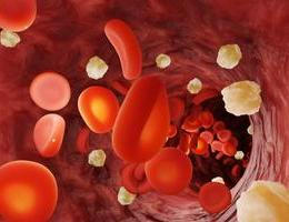 Hladina cukru v krvi