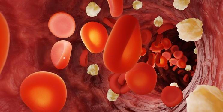 Hladina cukru v krvi