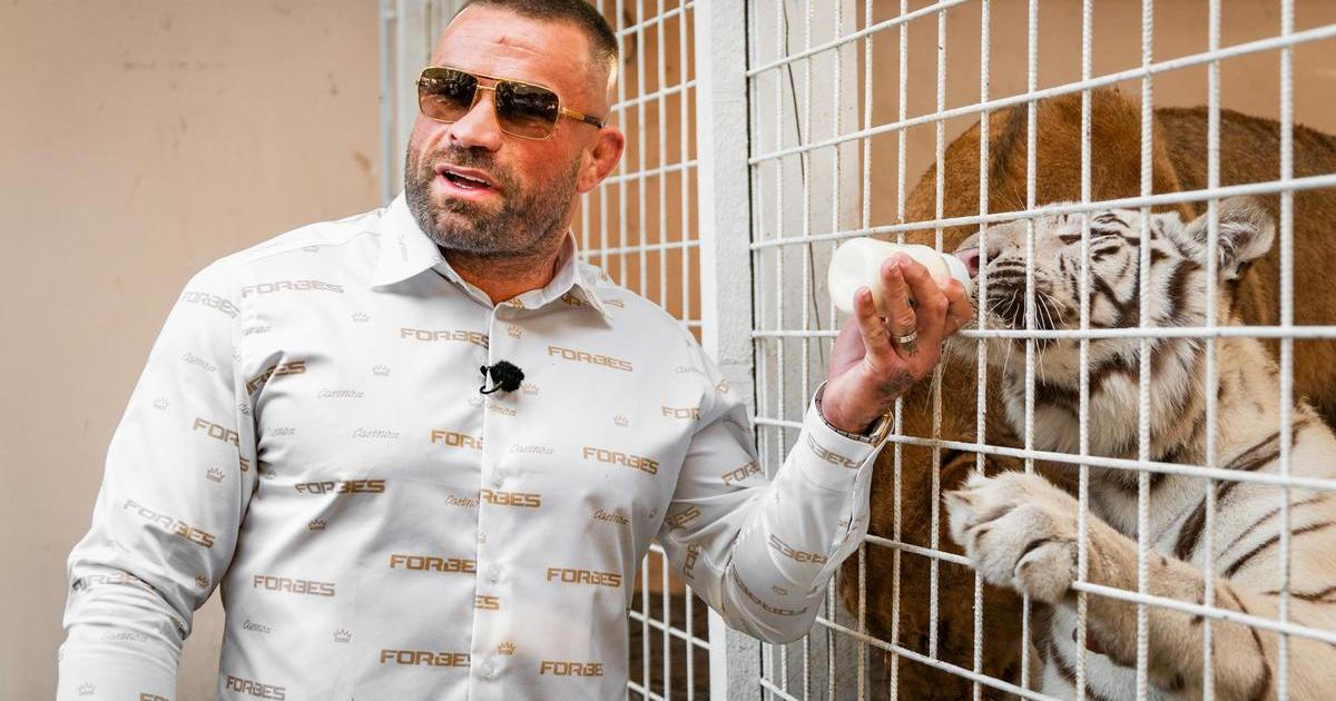 Střípky z oslavy 38. narozenin Karlose Vémoly. V jeho „Vémolandu“ se tehdy sešlo několik desítek lidí, bojovník se pochlubil i svými exotickými mazlíčky.