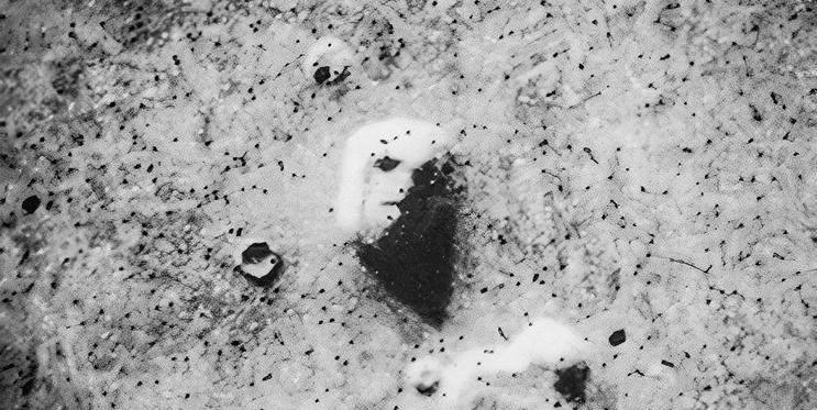 Tvář na Marsu (70. léta)