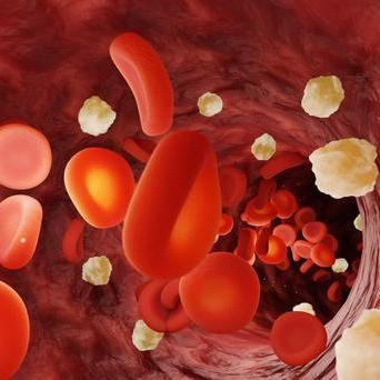 Hladina cukru v krvi