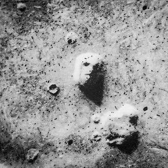 Tvář na Marsu (70. léta)