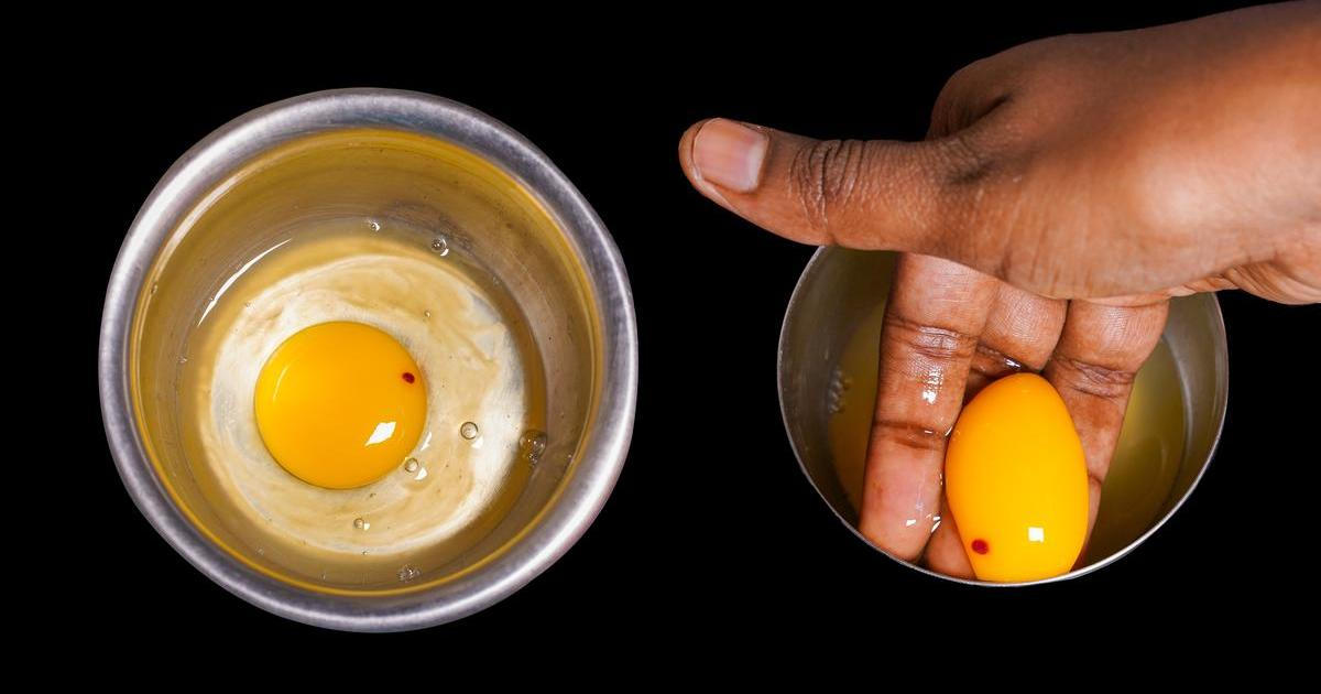 Čerstvý žloutek s krevní sraženinou