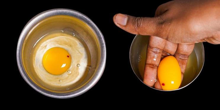 Čerstvý žloutek s krevní sraženinou