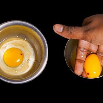 Čerstvý žloutek s krevní sraženinou