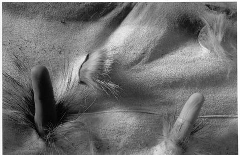 Ze souboru Bez názvu, 1996