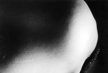 Ze souboru Bestiář pro dva, 1994