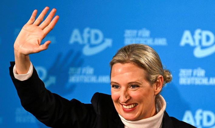 Alice Weidelová, AfD