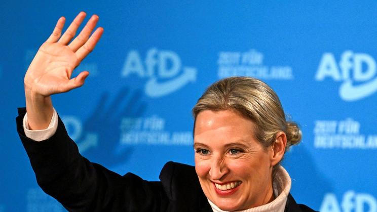 Alice Weidelová, AfD