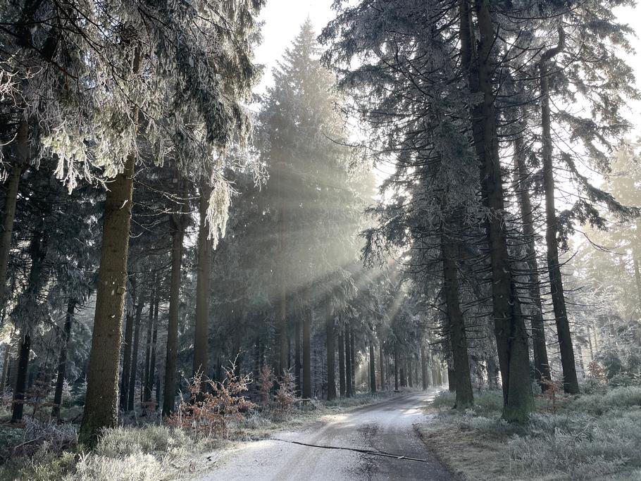 Cesta na Rýchorskou boudu byla v polovině prosince velkým zážitkem. I přesto, že sníh chyběl.