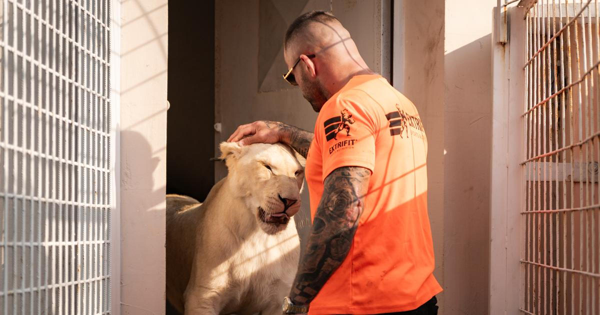 Nahlédnutí do Vémolandu: lvice, přežraní krokodýli, žralok i „štěkající“ papoušek