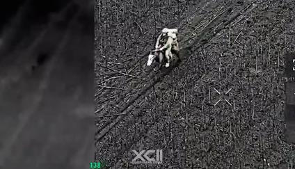 Ukrajinští vojáci odrazili útok ruské kavalerie.