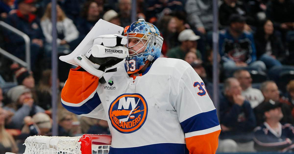 Čeští gólmani hvězdami NHL, výhru slavil Vladař i Rittich, Kämpf dal 50. gól