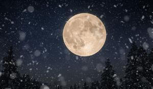 Měsíc úplněk Vánoce

Příští rok nás na obloze čeká řada výjimečných úkazů. Těšit se můžeme na zatmění Slunce i velký vánoční úplněk.