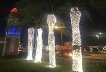 Místo vánočních stromků zdobí ulice hlavního města palmy ověnčené svítícími řetězy.