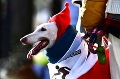 Škoda tyhle fotky minout: sbohem BB, ohněm i kouřem nebo vrtochy počasí