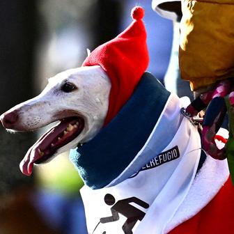 Škoda tyhle fotky minout: sbohem BB, ohněm i kouřem nebo vrtochy počasí