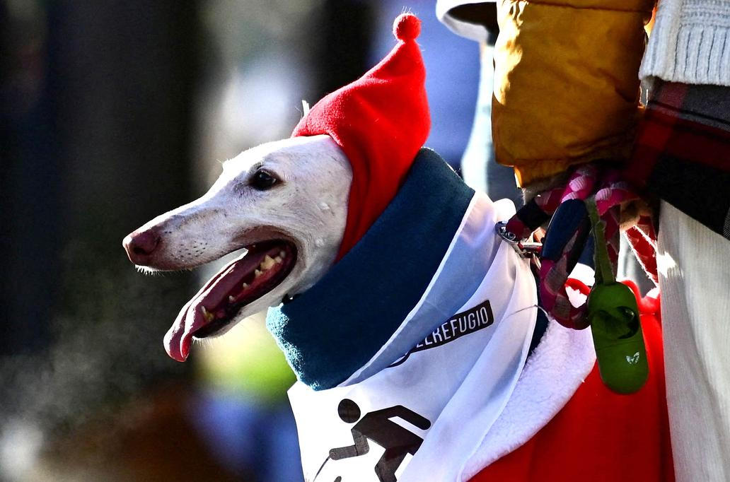 Škoda tyhle fotky minout: sbohem BB, ohněm i kouřem nebo vrtochy počasí