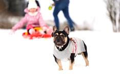 Evropa v zimním hávu: sníh, zpoždění a fotky, které stojí za to