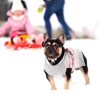 Evropa v zimním hávu: sníh, zpoždění a fotky, které stojí za to