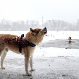 Ledová voda místo Jordánu: Ukrajinci slaví Zjevení Páně i v době války