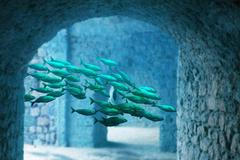 Vědci se domnívají, že podobná místa mohla stát u zrodu bretaňských legend o potopených městech.