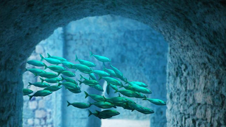 Vědci se domnívají, že podobná místa mohla stát u zrodu bretaňských legend o potopených městech.