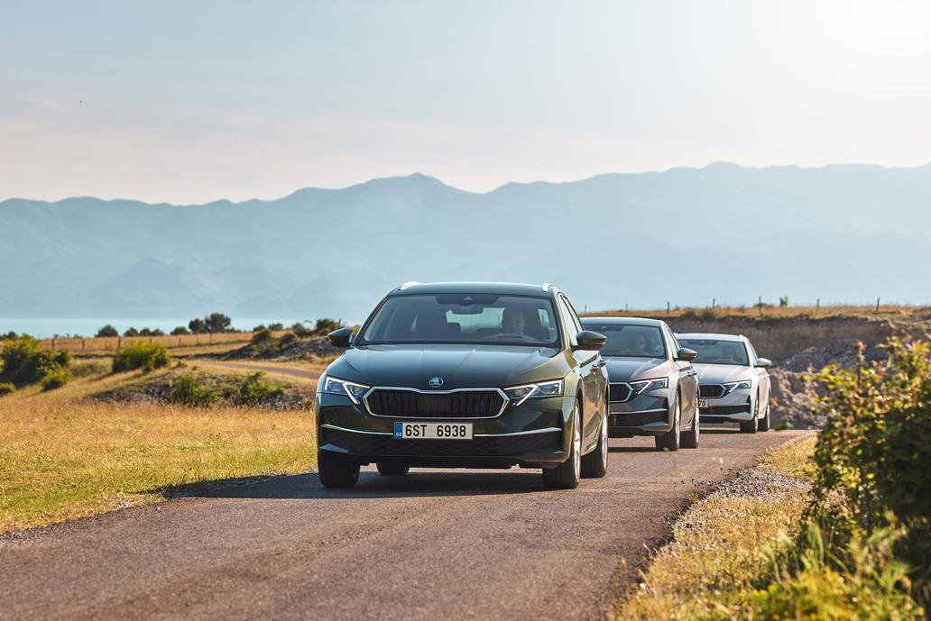 1. Škoda Octavia - 18 330 prodaných kusů (meziročně -5,64 %)